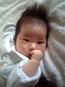 2010-11-19 12:41:53