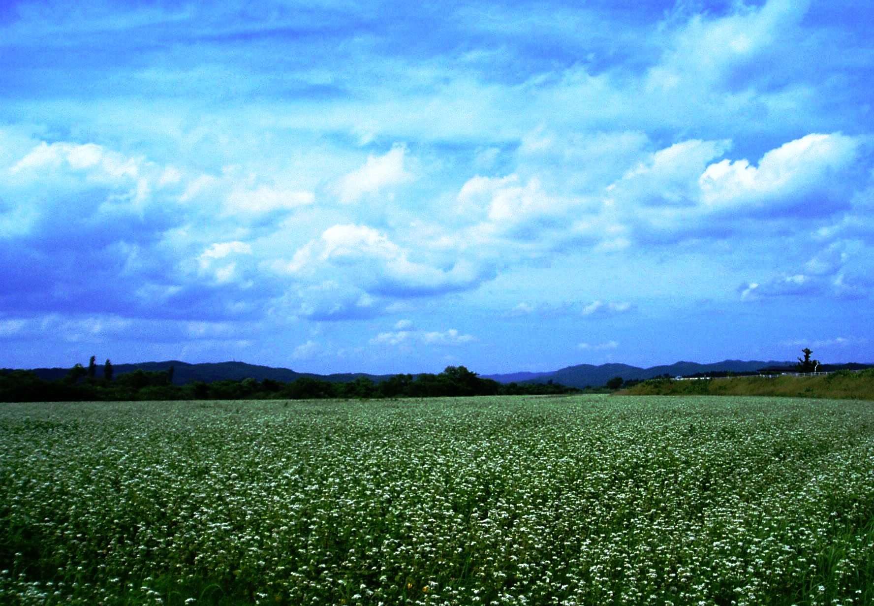 P1010022.JPG