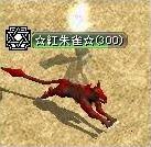紅っち ユリ.jpg