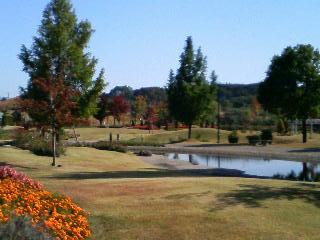 071024_1135~01.JPG