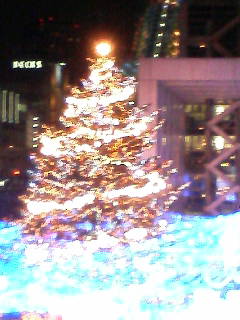 071212_1707~01.JPG