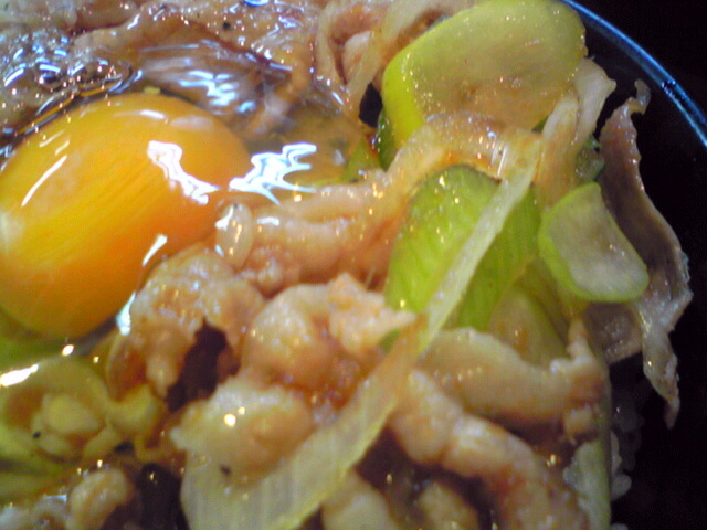 ミニ生姜丼