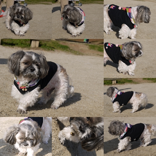 公園３