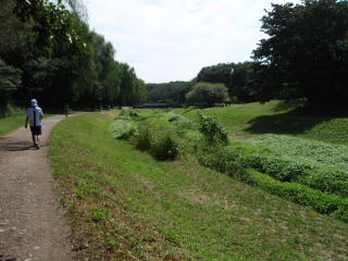 野川公園