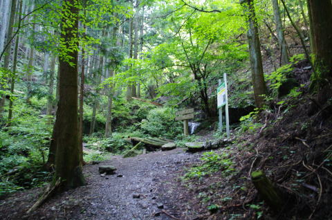 二子山浜ノ沢