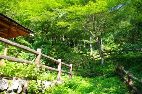 大滝の路合流