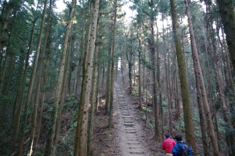 宝登山登り