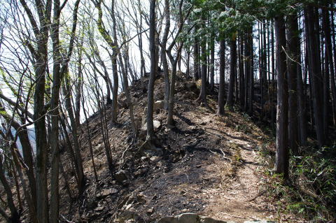 刈寄山山火事