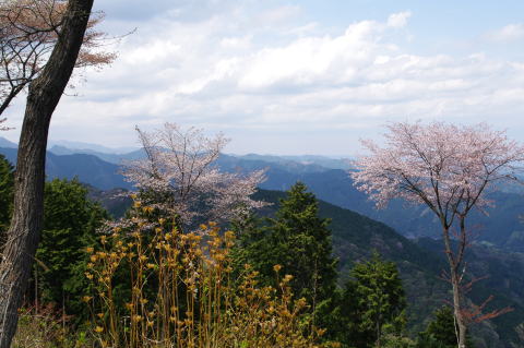 刈寄山山頂