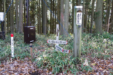 矢の音山頂