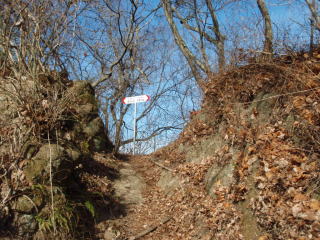 高川山むすび山尾根