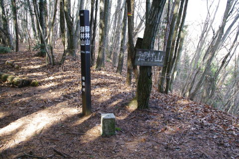 浅間尾根仲の平ＢＳ分岐