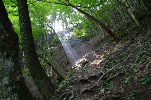 稲村尾根