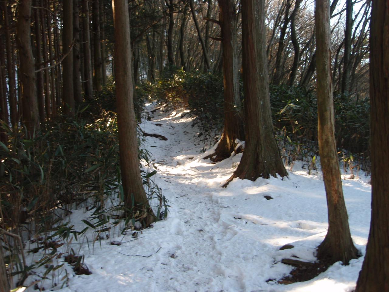 伊豆ヶ岳-雪の尾根道