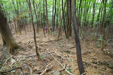 伊豆ヶ岳急坂