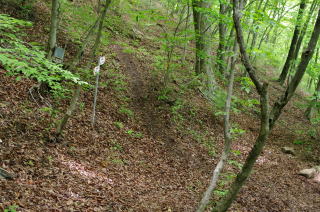 滝子山登山道合流