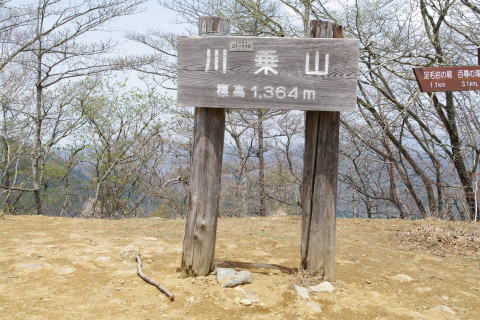 川乗山山頂