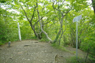 お坊山山頂