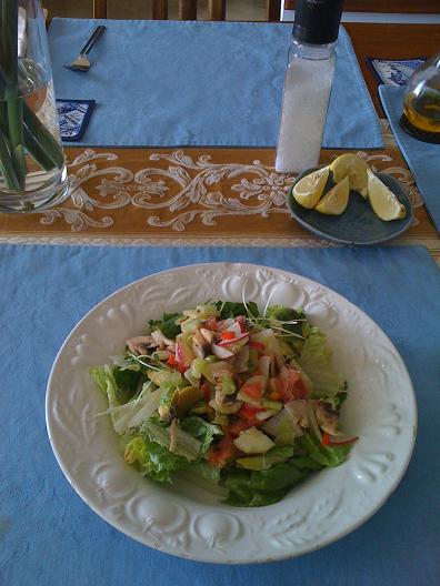 CDDV detox 2010 3.jpg