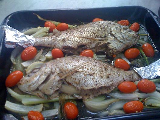 CDDV aqua pazza2.jpg