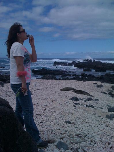 CDDV kaena point.jpg