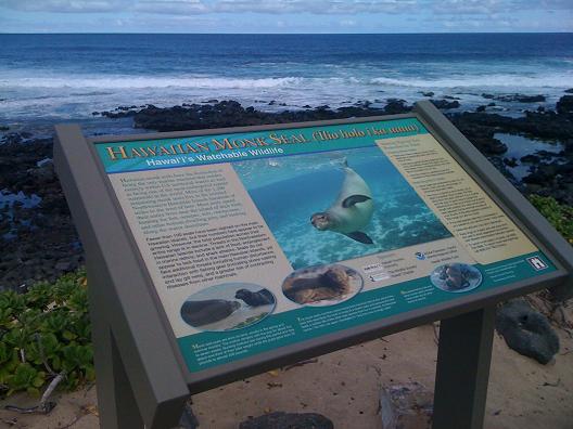 CDDV kaena point2.jpg