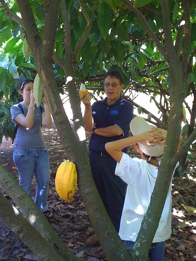 CDDV cacao festival5.jpg