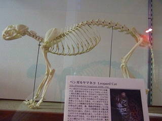 ito 078.jpg