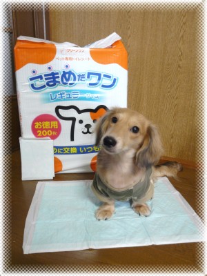 ペットシーツ