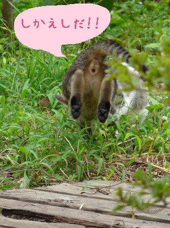 とうっ！
