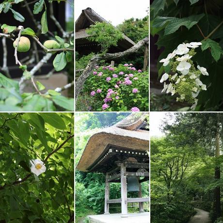 東慶寺　６月の境内