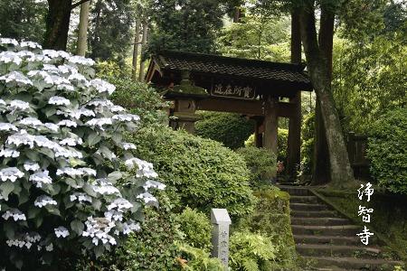 浄智寺　2010初夏