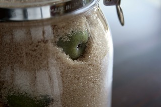 2010 梅シロップ