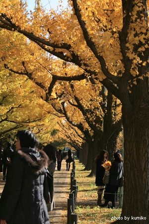 それぞれの思い出