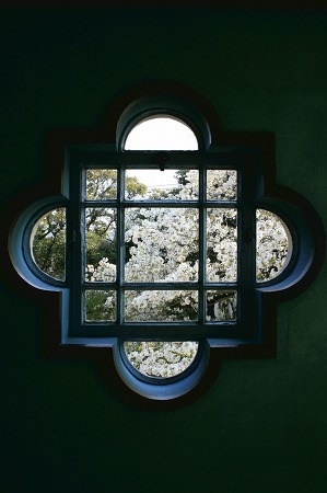 2009 SAKURA　山手 元町