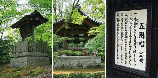 金閣寺