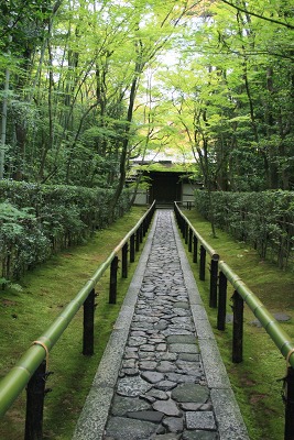 大徳寺　高桐院