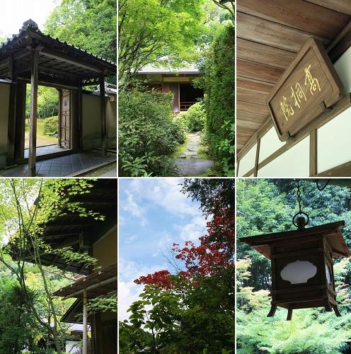 高桐院