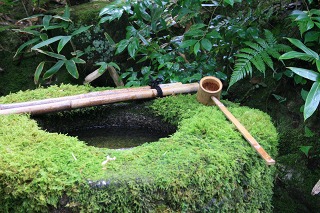 高桐院