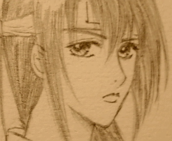 攘夷時代の桂さん、っぽい。少女漫画な感じになったねぇ…←ぇー他人事?!