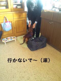 2010-05-14 17:30:18