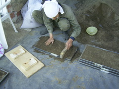 290.jpg