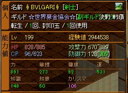 Lv199 ステ.jpg