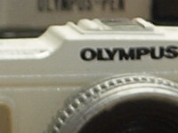 _C269370.5.jpg