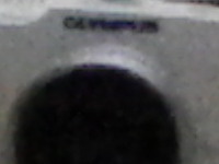 IMGP0078.1.jpg