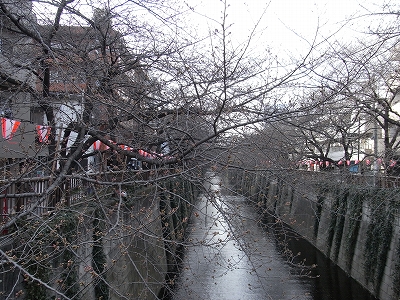 20100320-1