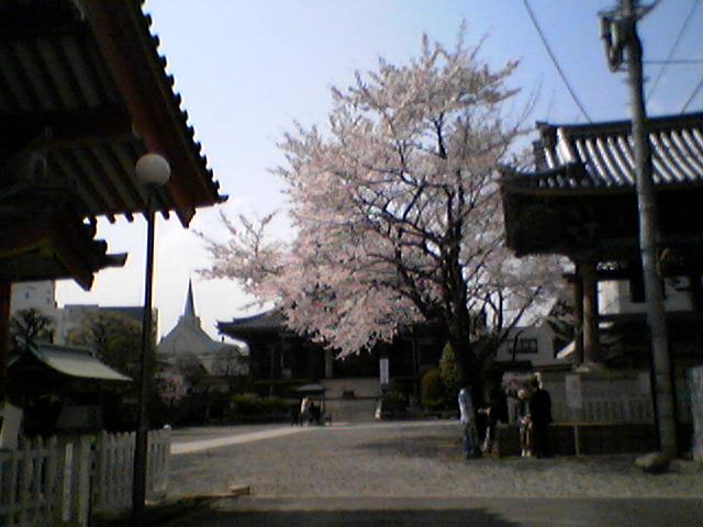 表参道・善光寺