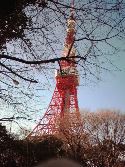 枝間から東京タワー