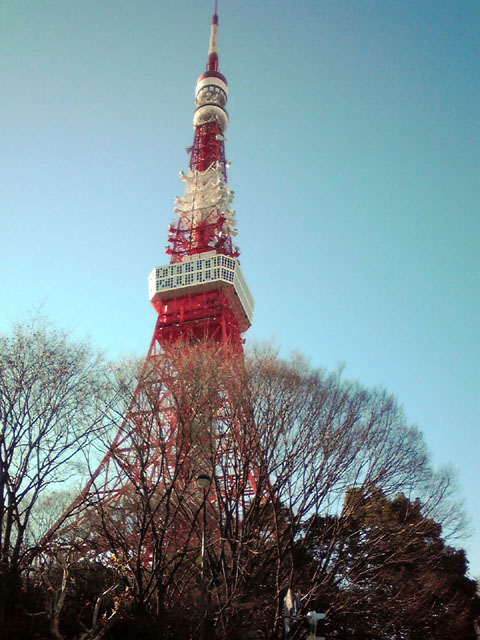 日本晴れタワーです