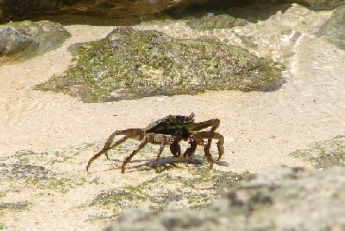 砂山ビーチ　ｙ